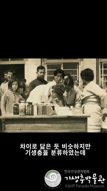 같지만, 다른 기생충(흡충) смотреть онлайн