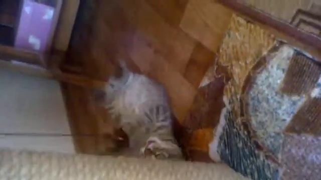 Марис смотреть онлайн