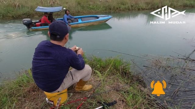 Gerimis Reda...!! Tegek Daido Pelican Jadi Melengkung diHajar Nila Babon смотреть онлайн