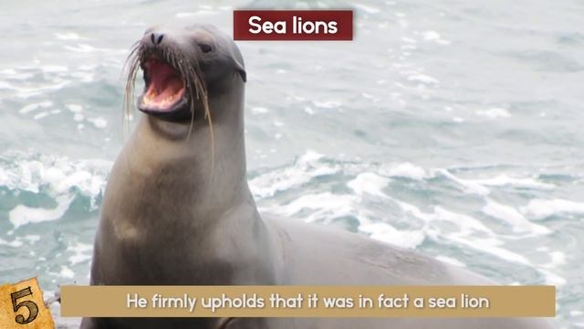 UNBELIEVABLE Animals That SAVED Lives! смотреть онлайн