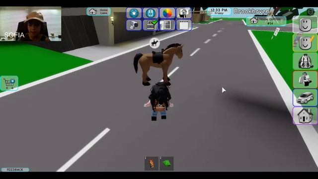 CANAL SOFIA SANTIAGO GAMES - BROOKHAVEM смотреть онлайн