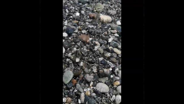 Адлер. Сочи. Пляж "Чайка" смотреть онлайн