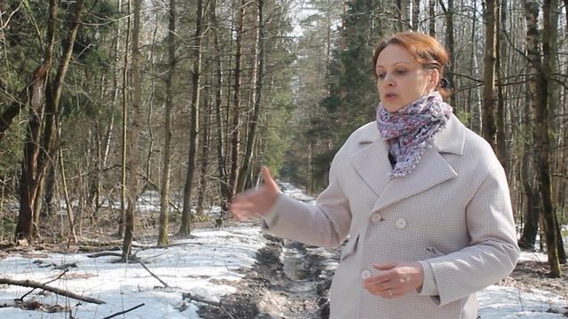 В Королеве планируют проложить трассу через «Лосиный остров» смотреть онлайн