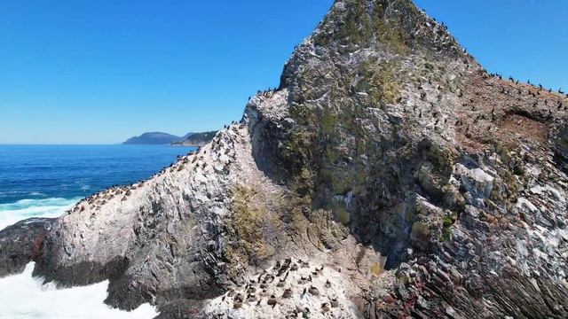 Кунашир 2024 часть 1