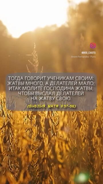 Матф. 9:37-38 смотреть онлайн