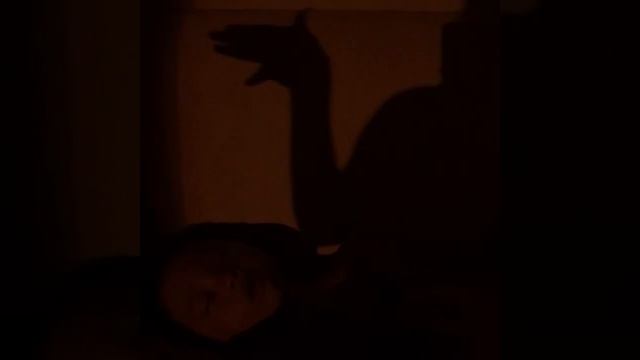 Chrissie Wunna. Shadow Camel 🤣 смотреть онлайн