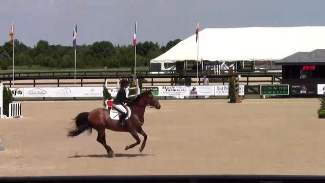 Linda Sheridan and Invitational Princeton Show Jumping 1.35m смотреть онлайн