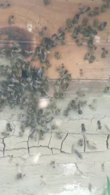 4 May 2024 смотреть онлайн