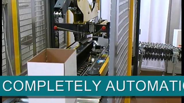 SIAT SM11 SP AUTOMATIC CASE SEALING MACHINE смотреть онлайн