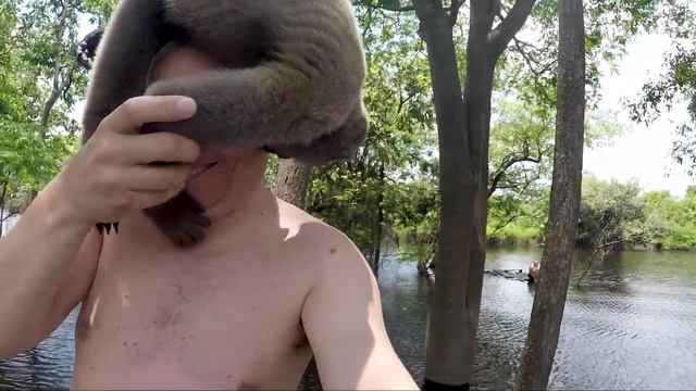 Brazil 2018- Chico and Aranha at the Amazon Green Tours Lodge смотреть онлайн
