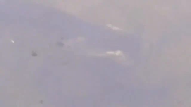 Щука съела утку. смотреть онлайн