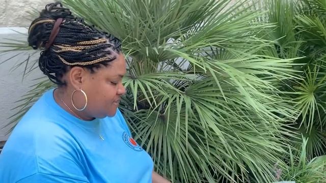 “S is for Sadie” Story time смотреть онлайн