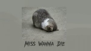 Miss Wanna Die (sped up+lyrics cuz why not)