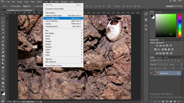 Macro Photography with Nikon Coolpix B500 vs Nikon D5300 (Point & Shoot vs DSLR) | Sonika Agarwal смотреть онлайн
