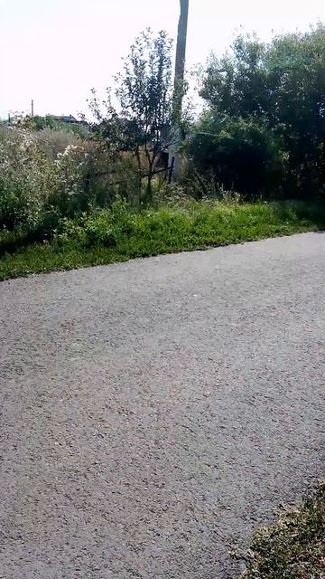 Газель после разгрузки #лайк #подпишись #automobile #газель #машина #да #деревенскаяжизнь #деревня смотреть онлайн