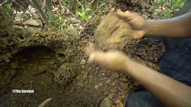 Build Secret Hold Temple Underground Swimming Pools смотреть онлайн