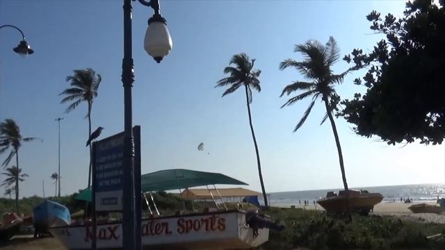 Goa Trip Nov 19 смотреть онлайн