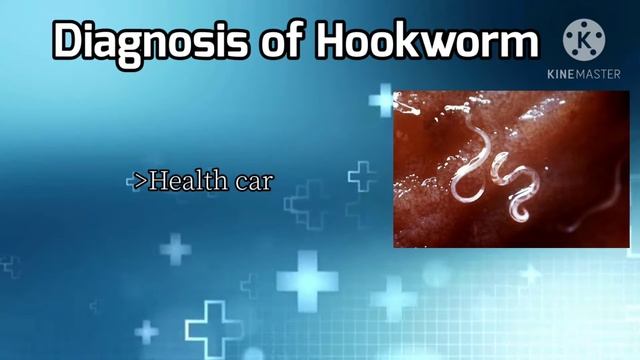 Hookworm in our body смотреть онлайн