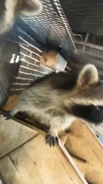 22 July 2022 смотреть онлайн