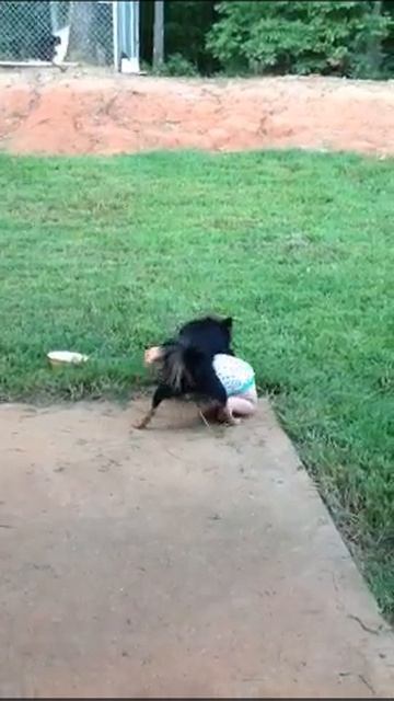 Horny Dog смотреть онлайн