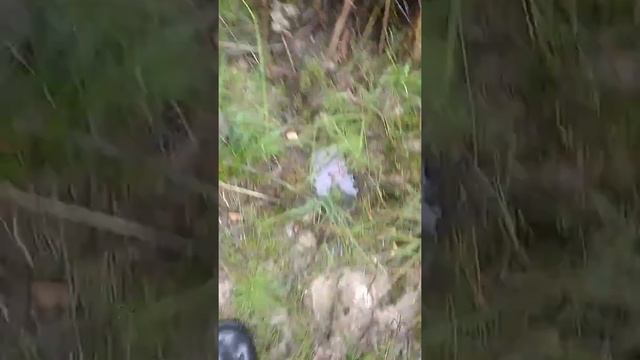 Коп не удался и лось прошол мимо смотреть онлайн
