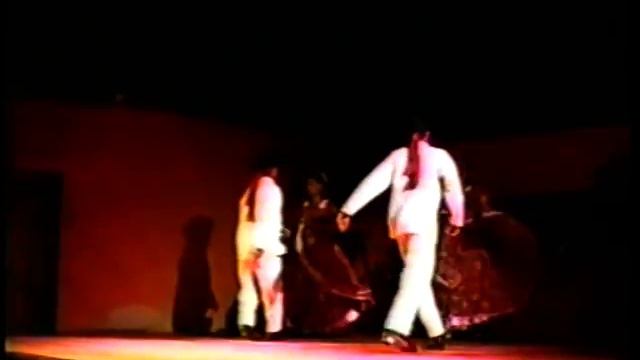 Show Venezolano Hotel Villa el Griego смотреть онлайн