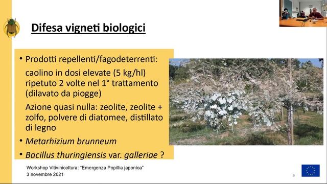 Workshop vite "Emergenza Popillia japonica" Progetto SERIA смотреть онлайн