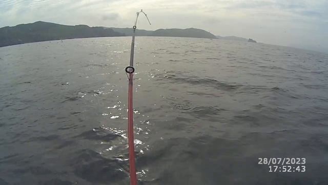 Ловля скумбрии (часть 2). Море кипит!!! смотреть онлайн