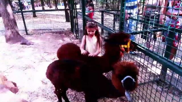 Парк Фельдмана. смотреть онлайн