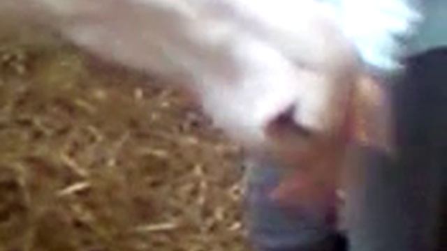 krikri [ gOurment] смотреть онлайн