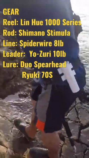 WOW!!! 😱 Bluefish on Ultralight Fishing Tackle #shorts смотреть онлайн