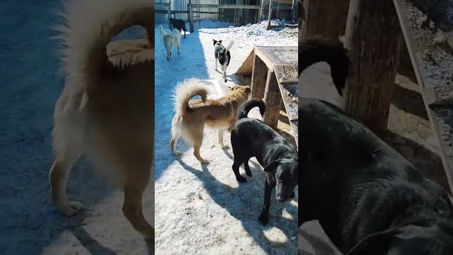 Марта смотреть онлайн