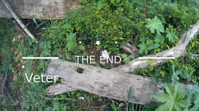 Campo Sicário - Game de fim de ano G.A.V.A - Veteranos x Novatos смотреть онлайн