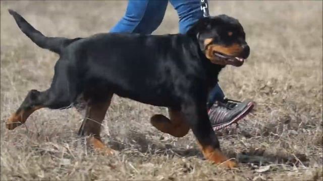 3д смотреть онлайн