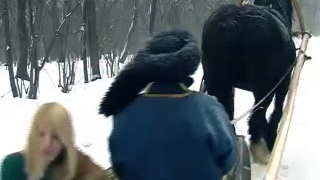 КО Коллекция №46 Сколот Зайчики Тамбов смотреть онлайн