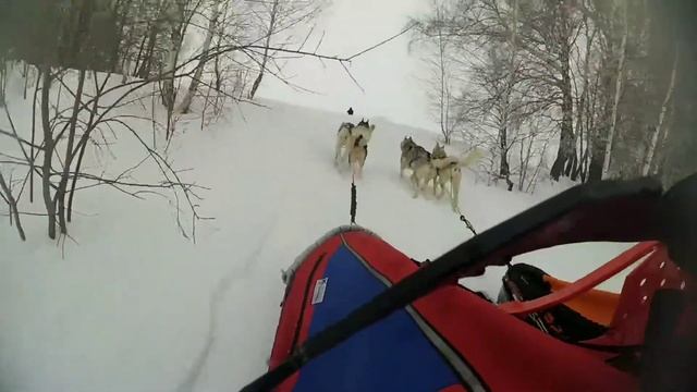 Большой тур Куликово Поле - SD, 9-10.03.2019 смотреть онлайн