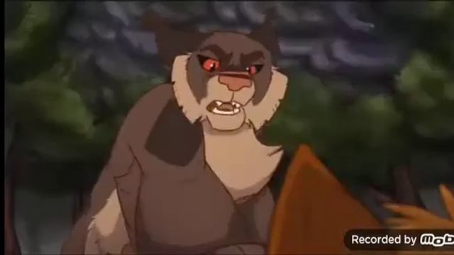 Коты воители (звездоцап и огнезвёзд) смотреть онлайн