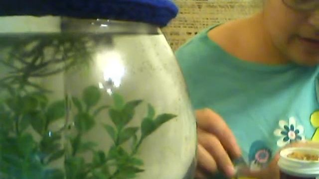 baby shrimp смотреть онлайн