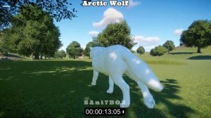 Planet Zoo Virtual Race of Big Cats Vs Big Dogs - Lion, Tiger, Arctic Wolf, Timber Wolf