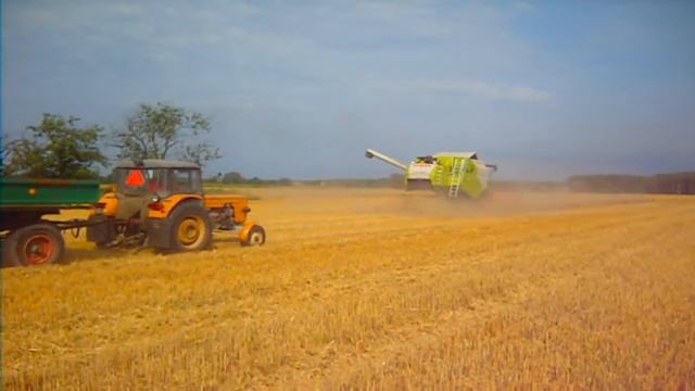 Claas Tucano 320 Żniwa pszenne 2013 смотреть онлайн