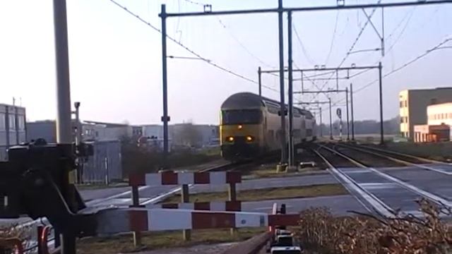 NS mDDM+DDAR 7838 смотреть онлайн