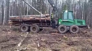 Заготовка леса