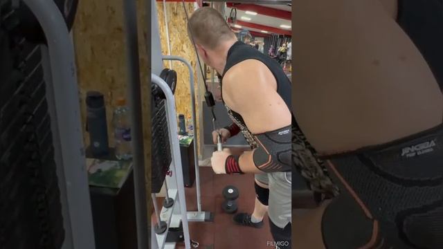 русский витязь