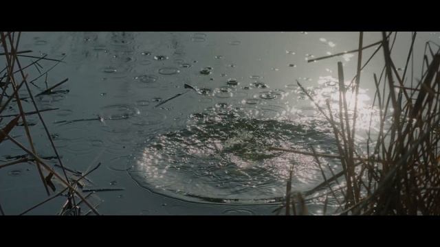 Blackmagic pocket cinema camera 4K Quick test 120fps смотреть онлайн
