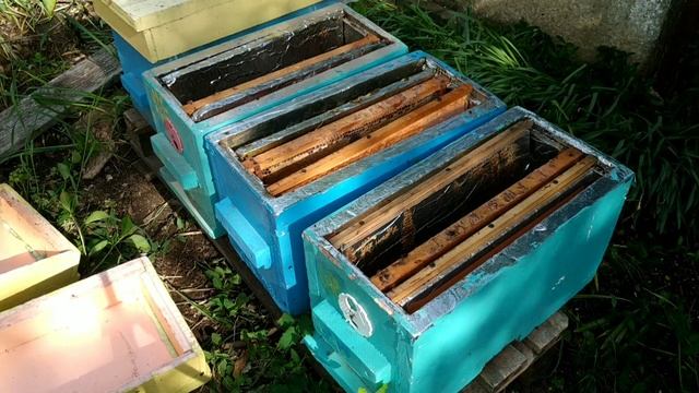 Заселяю нуклеусы.