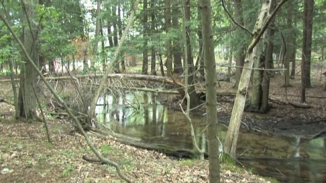 EMU, Parsons Center for the Study of Art and Science, Lake Ann, Michigan смотреть онлайн
