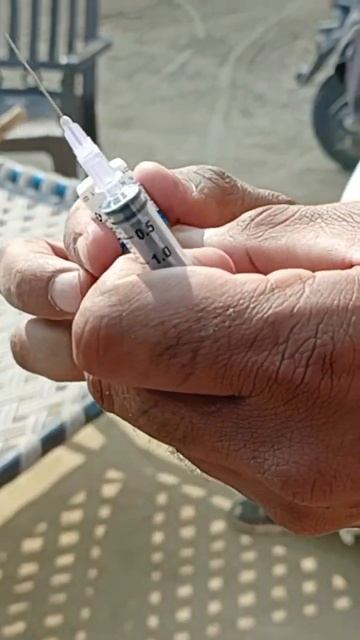 dog vaccination 💉💉 смотреть онлайн