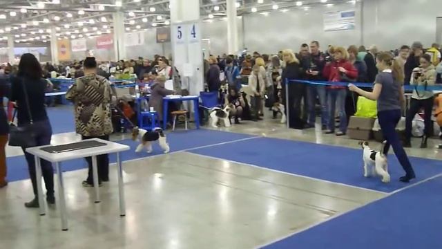 Best Junior смотреть онлайн