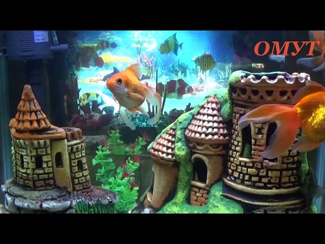 346. НУЖНАЯ УСИЛЯЛКА И ВАШИ КОММЕНТЫ... смотреть онлайн