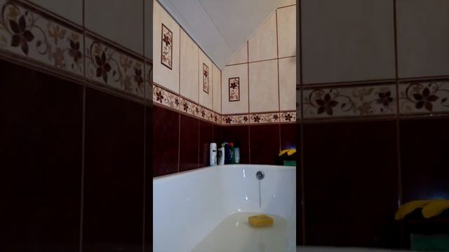 1# серия про мою кошку Азу смотреть онлайн